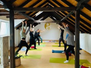 Yogakurs Yoga Praktizierende im Praxisraum von Johanna Binger